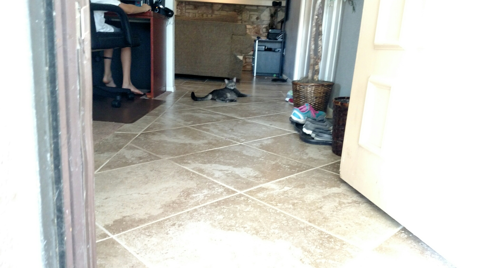 wp-1466291138254 image